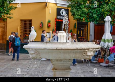 Weiße Taube am Rande eines Springbrunnens in Sevilla, Andalusien, Spanien Stockfoto