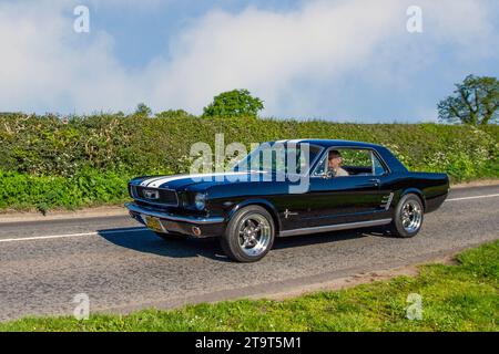 Black Ford Mustang aus den 1968 60er Jahren mit weißen Motorhaubenstreifen; Vintage, restaurierte klassische Motoren, Automobilsammler, Motorenfreunde, historische Veteranen, die in Cheshire, Großbritannien reisen Stockfoto