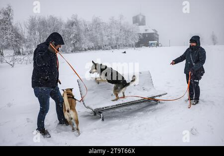 Winterberg, Deutschland. November 2023. Wanderer aus Olsberg spazieren mit ihren Hunden auf der Kahler Asten. Das kalte und nasse Wetter setzt sich in Nordrhein-Westfalen fort. Über 300 bis 400 Meter kam es zu weiteren Schneefällen, in niedrigeren Lagen zu Regen oder Schneeregen. (Zu dpa 'nasses und kaltes Wetter geht weiter in NRW - Neuschnee in hohen Höhen') Credit: Oliver Berg/dpa/Alamy Live News Stockfoto