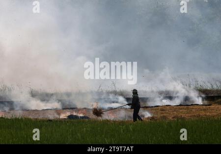 Nakhonsawan, Thailand. November 2023. Ein Bauer verbrennt ein Reisfeld in der thailändischen Provinz Nakhonsawan, nördlich von Bangkok. Quelle: SOPA Images Limited/Alamy Live News Stockfoto