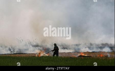Nakhonsawan, Thailand. November 2023. Ein Bauer verbrennt ein Reisfeld in der thailändischen Provinz Nakhonsawan, nördlich von Bangkok. Quelle: SOPA Images Limited/Alamy Live News Stockfoto