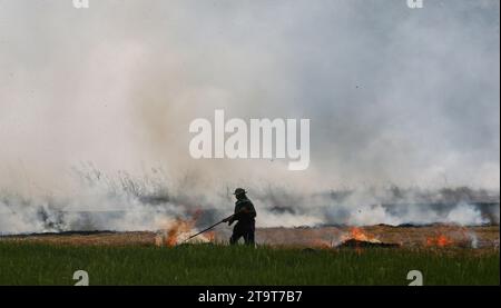 Nakhonsawan, Thailand. November 2023. Ein Bauer verbrennt ein Reisfeld in der thailändischen Provinz Nakhonsawan, nördlich von Bangkok. (Foto: Chaiwat Subprasom/SOPA Images/SIPA USA) Credit: SIPA USA/Alamy Live News Stockfoto