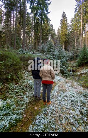 Frau mit einem kleinen Sohn mit Wackelhüten, die im herbstlichen Wald zur Linse zurückstehen Stockfoto
