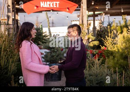 Verliebtes Paar wählt Weihnachtsbaum auf dem Markt im Freien. Ein junger Mann und eine schöne Frau sehen sich an, halten eine Wanne mit einem lebendigen Weihnachtsbaum in han Stockfoto