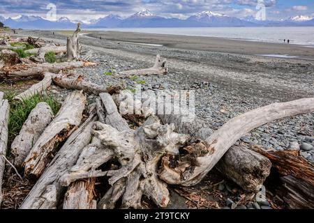 An der Flut-Linie entlang des Bishops Beach bei Ebbe und den Kachemak Mountains dahinter in Homer, Alaska. Der Strand ist bekannt für seine 25 Meter hohen Fluten, die schnell von der Kachemak Bay hereinbrechen. Stockfoto