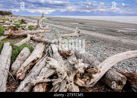 An der Flut-Linie entlang des Bishops Beach bei Ebbe und den Kachemak Mountains dahinter in Homer, Alaska. Der Strand ist bekannt für seine 25 Meter hohen Fluten, die schnell von der Kachemak Bay hereinbrechen. Stockfoto