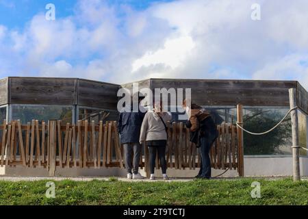 © PHOTOPQR/LE PARISIEN/Emma Oliveras ; Chartres ; 06/11/2023 ; Ambiance au sein du parc du Zoo-Refuge de La tanière. Chartres, 6. November 2023. Le Refuge Zoo La Tanière. Nombre d'animaux issus du trafic saisis en à-de-France sont confiés Île ce Refuge animalier en partie ouvert au public. CES félins, tortues, perroquets cohabitent avec des rescapés de laboratoire et des retraités du cirque. Chartres, Frankreich, 6. november 2023. La Tanière Zoo Shelter. Viele in Île-de-France beschlagnahmte Tiere werden diesem Tierheim anvertraut, das teilweise für die Öffentlichkeit zugänglich ist. Diese Katzen, tu Stockfoto