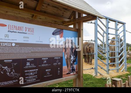 © PHOTOPQR/LE PARISIEN/Emma Oliveras ; Chartres ; 06/11/2023 ; Ambiance au sein du parc du Zoo-Refuge de La tanière. Chartres, 6. November 2023. Le Refuge Zoo La Tanière. Nombre d'animaux issus du trafic saisis en à-de-France sont confiés Île ce Refuge animalier en partie ouvert au public. CES félins, tortues, perroquets cohabitent avec des rescapés de laboratoire et des retraités du cirque. Chartres, Frankreich, 6. november 2023. La Tanière Zoo Shelter. Viele in Île-de-France beschlagnahmte Tiere werden diesem Tierheim anvertraut, das teilweise für die Öffentlichkeit zugänglich ist. Diese Katzen, tu Stockfoto