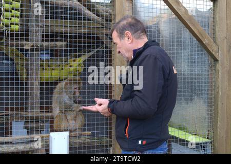 © PHOTOPQR/LE PARISIEN/Emma Oliveras ; Chartres ; 06/11/2023 ; Cannelle, singe rescapée de laboratoires et son colocataire, issu du cirque. Chartres, 6. November 2023. Le Refuge Zoo La Tanière. Nombre d'animaux issus du trafic saisis en à-de-France sont confiés Île ce Refuge animalier en partie ouvert au public. CES félins, tortues, perroquets cohabitent avec des rescapés de laboratoire et des retraités du cirque. Chartres, Frankreich, 6. november 2023. La Tanière Zoo Shelter. Viele in Île-de-France beschlagnahmte Tiere werden diesem Tierheim anvertraut, das teilweise der pu offen steht Stockfoto