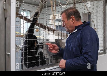 © PHOTOPQR/LE PARISIEN/Emma Oliveras ; Chartres ; 06/11/2023 ; Jack et Jimmy, deux singes encore en quarantaine, nouveaux arrivants au Refuge. Chartres; 6. November 2023. Le Refuge Zoo La Tanière. Nombre d'animaux issus du trafic saisis en à-de-France sont confiés Île ce Refuge animalier en partie ouvert au public. CES félins, tortues, perroquets cohabitent avec des rescapés de laboratoire et des retraités du cirque. Chartres, Frankreich, 6. november 2023. La Tanière Zoo Shelter. Viele in Île-de-France beschlagnahmte Tiere werden diesem Tierheim anvertraut, das teilweise für die zugänglich ist Stockfoto