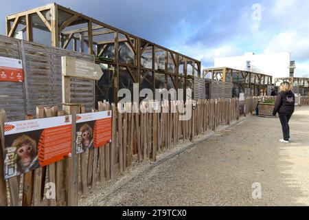 © PHOTOPQR/LE PARISIEN/Emma Oliveras ; Chartres ; 06/11/2023 ; Ambiance au sein du parc du Zoo-Refuge de La tanière. Chartres, 6. November 2023. Le Refuge Zoo La Tanière. Nombre d'animaux issus du trafic saisis en à-de-France sont confiés Île ce Refuge animalier en partie ouvert au public. CES félins, tortues, perroquets cohabitent avec des rescapés de laboratoire et des retraités du cirque. Chartres, Frankreich, 6. november 2023. La Tanière Zoo Shelter. Viele in Île-de-France beschlagnahmte Tiere werden diesem Tierheim anvertraut, das teilweise für die Öffentlichkeit zugänglich ist. Diese Katzen, tu Stockfoto