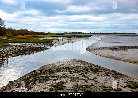 Pagham Harbour RSPB Naturschutzgebiet bei Ebbe an einem Herbstnachmittag, West Sussex, England Großbritannien Stockfoto