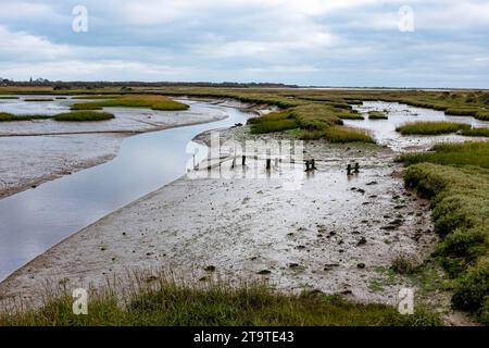 Pagham Harbour RSPB Naturschutzgebiet bei Ebbe an einem Herbstnachmittag, West Sussex, England Großbritannien Stockfoto