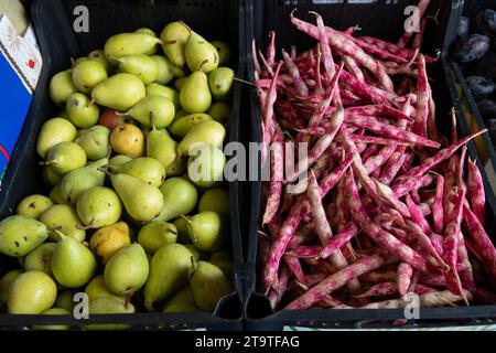 Angrenzende Behälter mit Reifen, kleinen grünen Birnen und frisch geernteten Barlotti oder Preiselbeerbohnen. Stockfoto