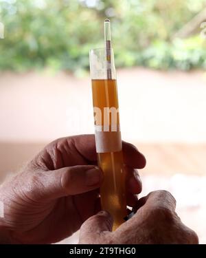 Messung des Alkoholgehalts mit einem Hydrometer in einer Glasröhre Bier. Stockfoto