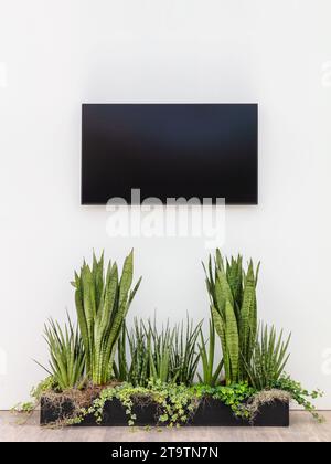 Neuer moderner digitaler Fernsehbildschirm an einer weißen Wand mit Pflanzen davor Stockfoto