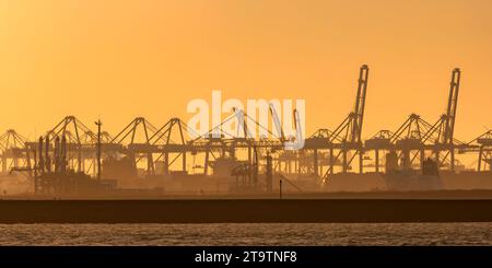 Niederländisches Industriegebiet mit Schiffskränen bei Sonnenuntergang in Europoort, Rotterdamer Hafen Stockfoto