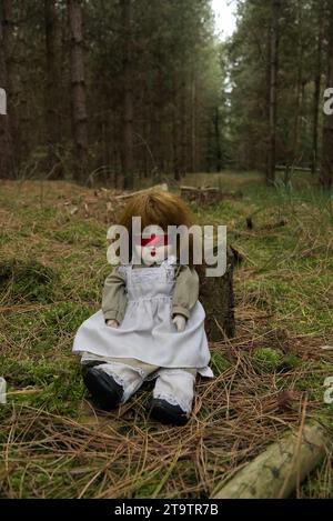 Gruselige Puppe mit roter Schleife, im Wald verlassen. Thriller, Horror. Stockfoto