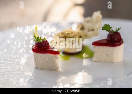 Nahaufnahme einer luxuriösen Vorspeise auf einem weißen Teller im Restaurant, elegante kulinarische Präsentation. Lebensmittelfotografie Konzeptbild Stockfoto