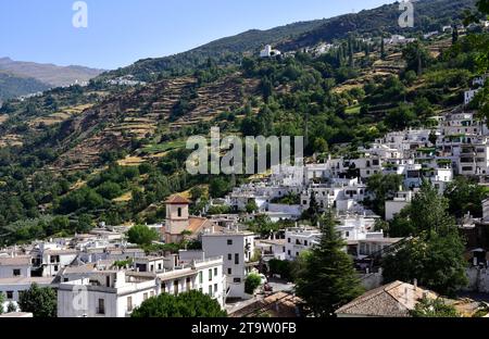 La Alpujarra oder Las Alpujarras, Panoramablick auf Pampaneira, Bubión, Capileira und Sierra Nevada. Granada, Andalusien, Spanien. Stockfoto