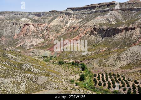 Gor River Valley in der Nähe von Gorafe. Granada, Andalusien, Spanien. Stockfoto