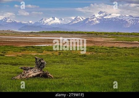 Das Gezeitenmoor von Beluga Slough mit den schneebedeckten Kachemak Bergen dahinter in Homer, Alaska. Stockfoto