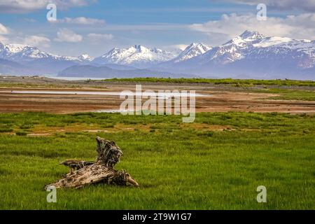 Das Gezeitenmoor von Beluga Slough mit den schneebedeckten Kachemak Bergen dahinter in Homer, Alaska. Stockfoto