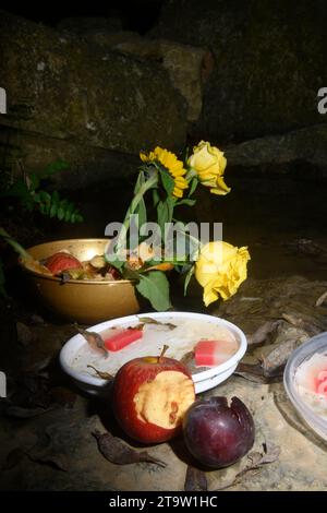Korb mit Blumen, der von afro-brasilianischen Religionen verwendet wird. Am Ufer eines Flusses. Stockfoto
