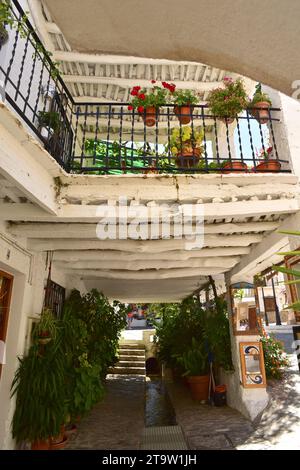 Pampaneira, typische Straße mit einem Graben im Zentrum. La Alpujarra, Granada, Andalusien, Spanien. Stockfoto