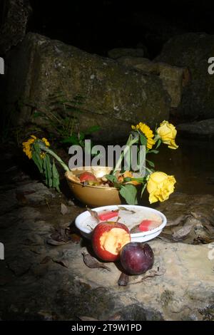 Korb mit Blumen, der von afro-brasilianischen Religionen verwendet wird. Am Ufer eines Flusses. Stockfoto