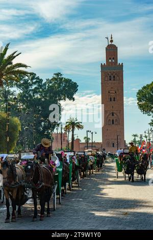 Nordafrika. Marokko. Marrakesch. Kutschen für Touristen mit dem Koutoubia Minarett im Hintergrund Stockfoto