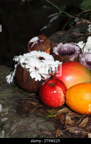 Korb mit Blumen, der von afro-brasilianischen Religionen verwendet wird. Am Ufer eines Flusses. Portugal. Stockfoto