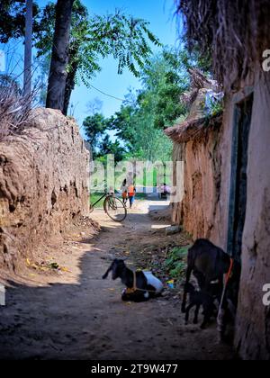 Korridor der Lehmhäuser im Dorf Uttar Pradesh in Indien. Stockfoto