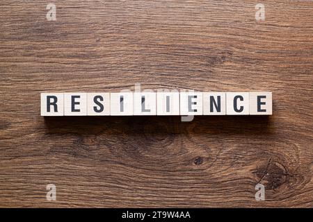 Resilienz – Wortkonzept auf Bausteinen, Text Stockfoto