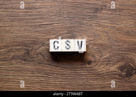 CSV - Abkürzung der Validierung von Computersystemen, Wort, Text Stockfoto