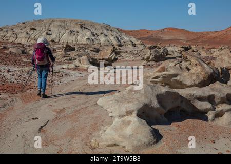 Ein Solo-Weibchen wandert durch die weiten Badlands des San Juan Basin in New Mexico Stockfoto