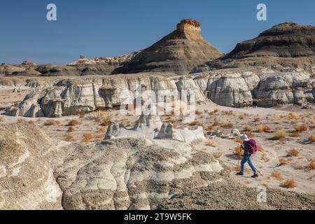 Ein Solo-Weibchen wandert durch die weiten Badlands des San Juan Basin in New Mexico Stockfoto