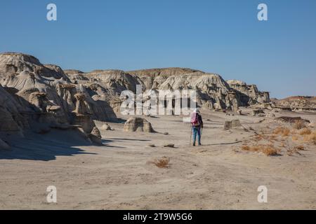 Ein Solo-Weibchen wandert durch die weiten Badlands des San Juan Basin in New Mexico Stockfoto