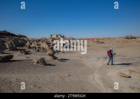 Ein Solo-Weibchen wandert durch die weiten Badlands des San Juan Basin in New Mexico Stockfoto