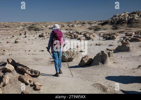 Ein Solo-Weibchen wandert durch die weiten Badlands des San Juan Basin in New Mexico Stockfoto