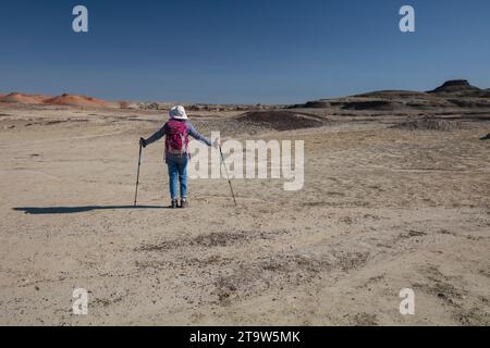 Ein Solo-Weibchen wandert durch die weiten Badlands des San Juan Basin in New Mexico Stockfoto