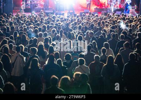 Glückliche Leute, die die Auftritte einer beliebten Band genießen Stockfoto