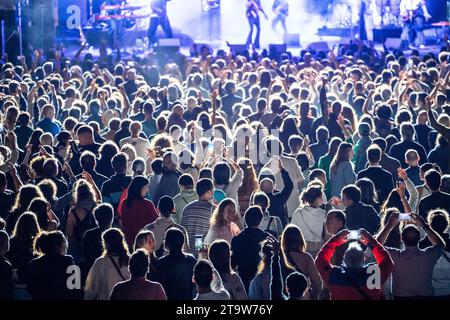 Glückliche Leute, die die Auftritte einer beliebten Band genießen Stockfoto