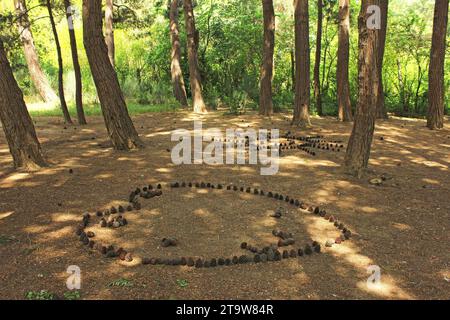Das Bild des Herzens und der Sonne von den Kegeln im Wald. Stockfoto