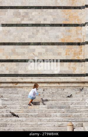 Ein kleines Mädchen jagt Tauben die Stufen der Kathedrale von Siena, Siena SI, Italien Stockfoto