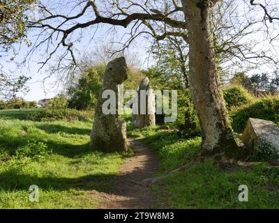 Wanderweg in der Steinstätte Erdeven, Megalithgebiet von Morbihan Stockfoto