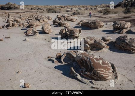 Klassische amerikanische Landschaften: Die Bisti Wilderness im nordwestlichen New Mexico ist ein erodiertes Plateau aus Badlands, das Fossilien und versteinertes Holz enthält. Stockfoto