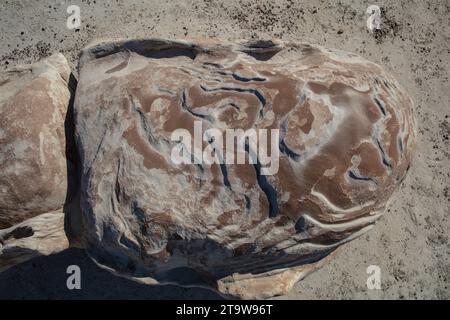 Klassische amerikanische Landschaften: Die Bisti Wilderness im nordwestlichen New Mexico ist ein erodiertes Plateau aus Badlands, das Fossilien und versteinertes Holz enthält. Stockfoto