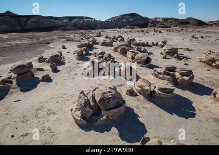 Klassische amerikanische Landschaften: Die Bisti Wilderness im nordwestlichen New Mexico ist ein erodiertes Plateau aus Badlands, das Fossilien und versteinertes Holz enthält. Stockfoto