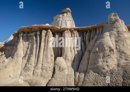 Klassische amerikanische Landschaften: Die Bisti Wilderness im nordwestlichen New Mexico ist ein erodiertes Plateau aus Badlands, das Fossilien und versteinertes Holz enthält. Stockfoto